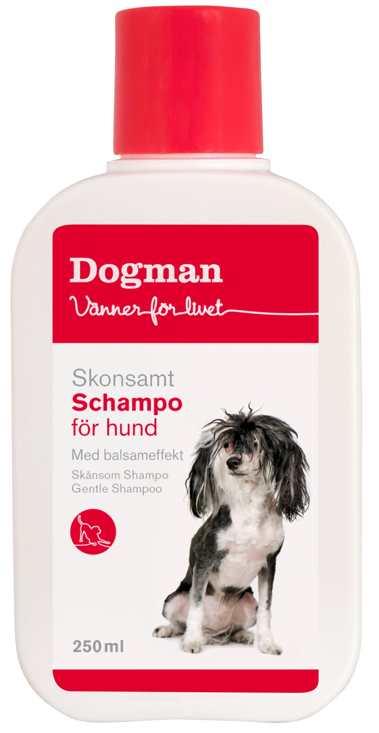 Gentle Shampoo