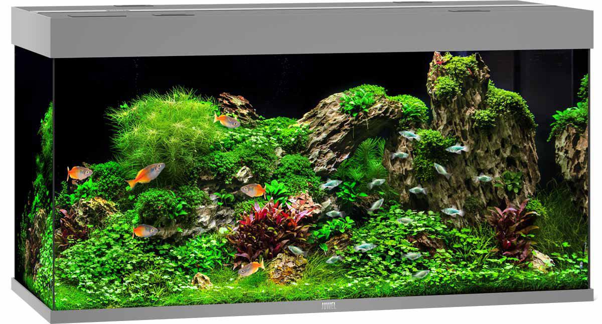 Juwel Akvarium Led Rio 350 Grå 121x51x66cm 350l
