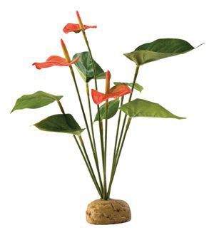 Flamingo Regnskogsväxt Exoterra 20x15x28cm