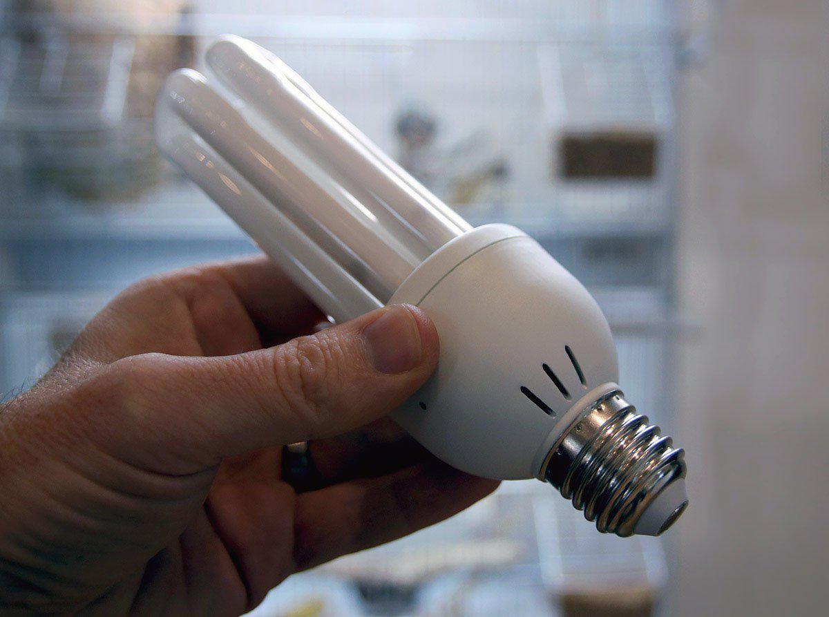 Fågellampa 20w Uva & Uvb