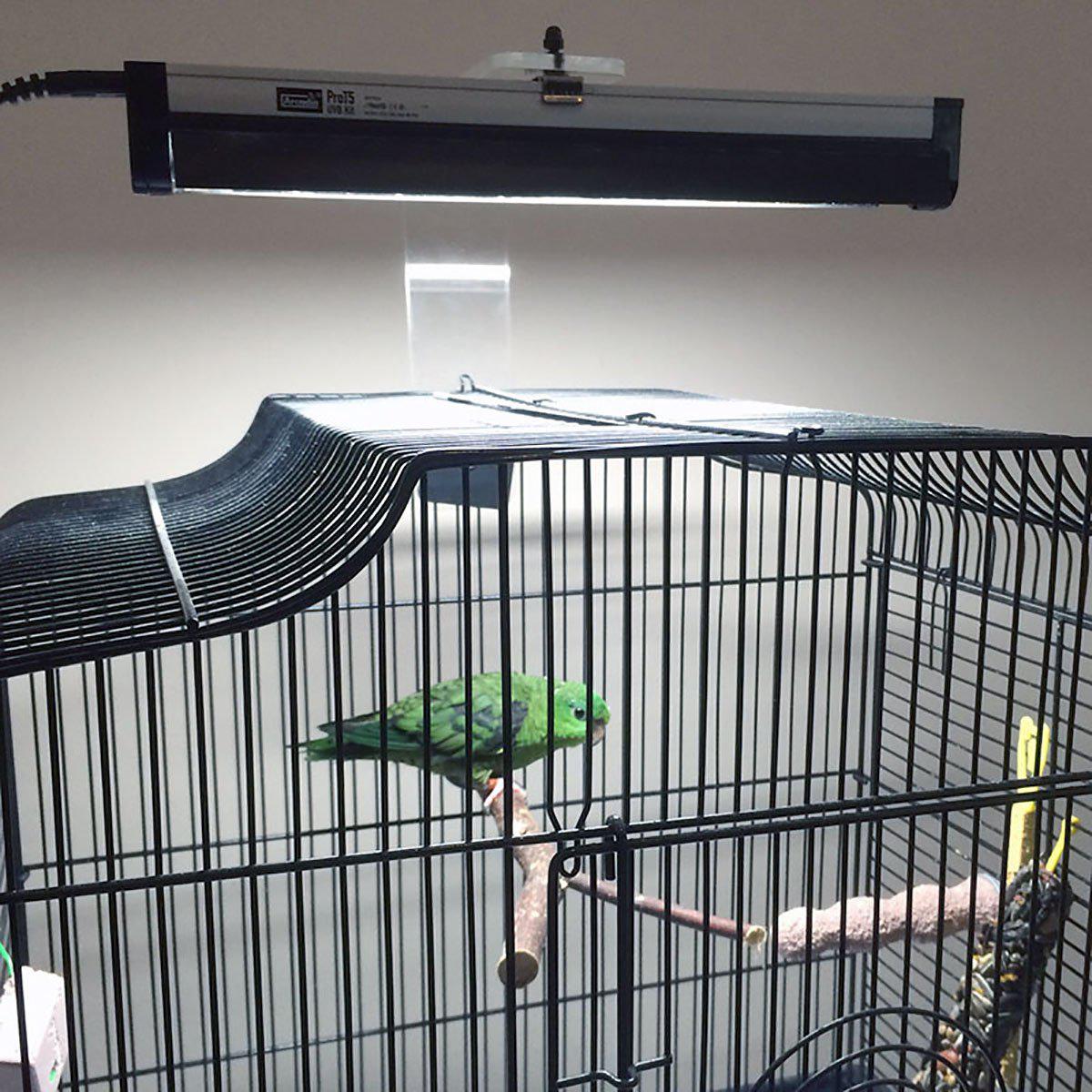 Puresun Fågellampa Kit Mini  31cm 8 W