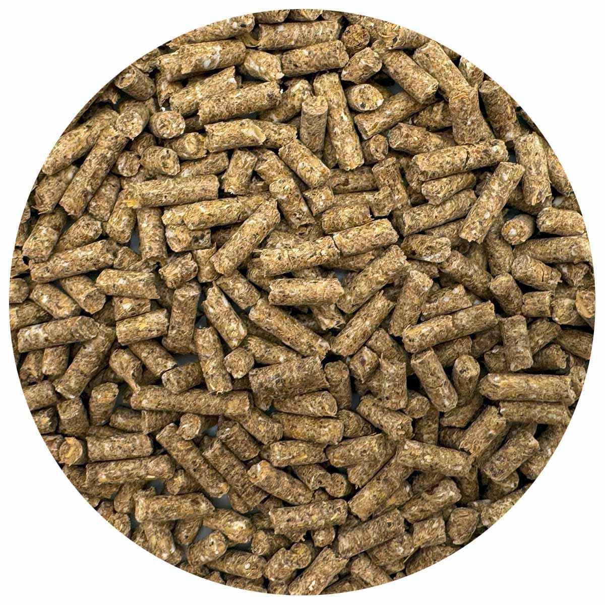 Bello Marsvinspellets C-vitamin Sv 13kg