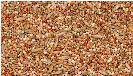 Bello Undulat Premium 1kg