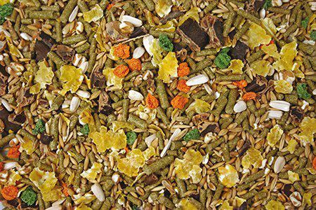 Bello Marsvinblandning Premium 800gr