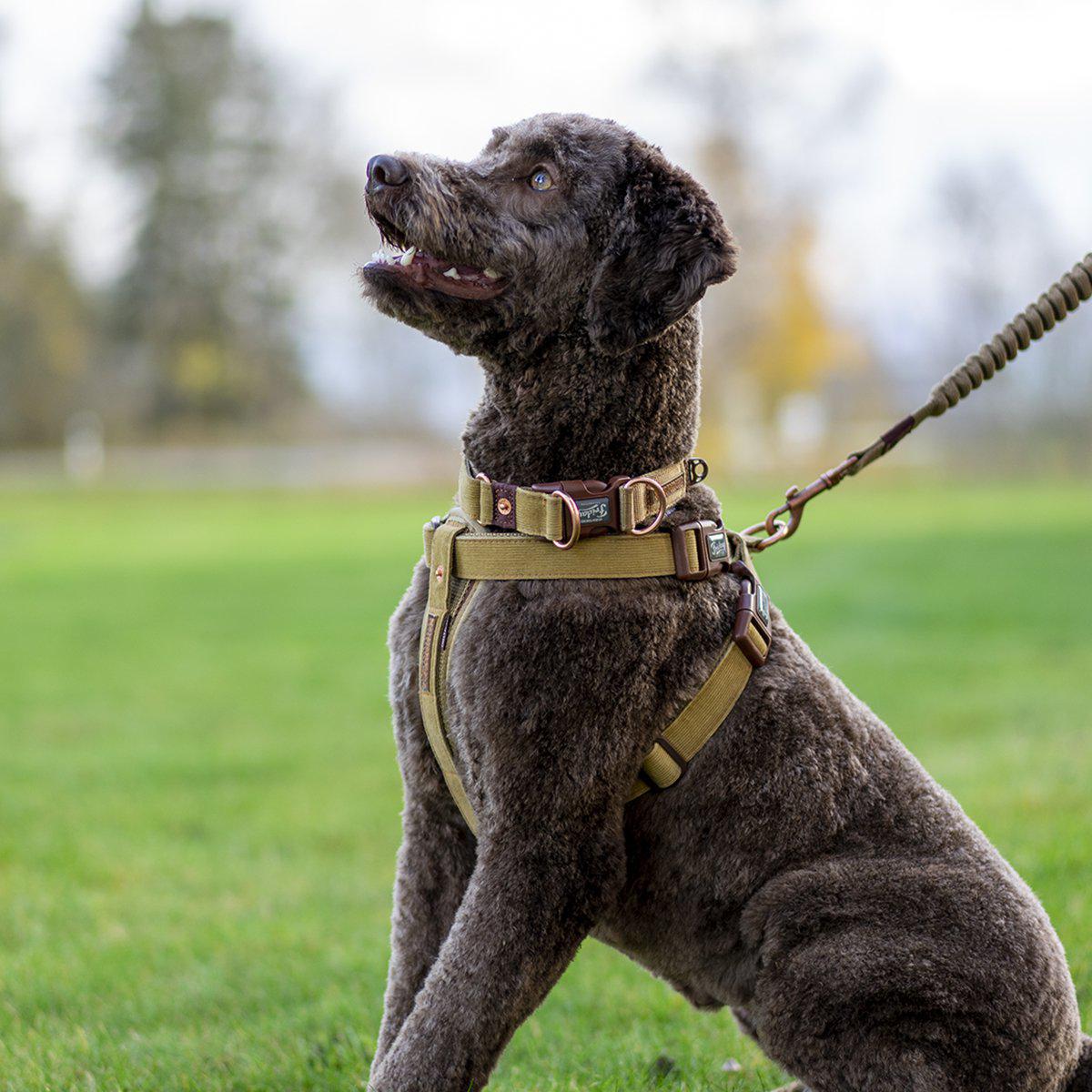 Ezydog Sele Corduroy Xxs 24-38cm 1-3kg