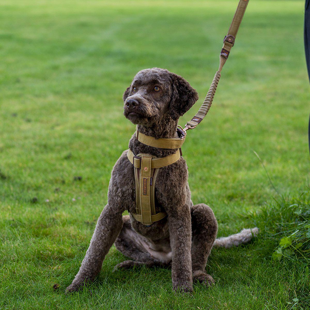 Ezydog Sele Corduroy Xxl 77-134cm 41kg+