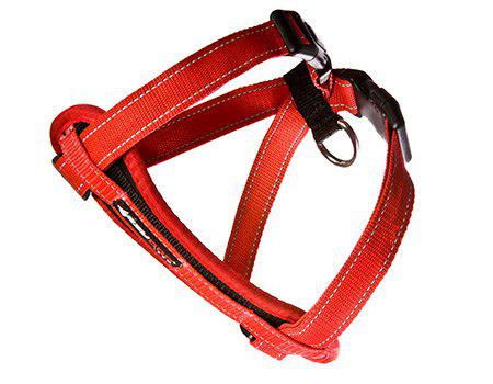 Ezydog Sele Neoprenröd L 19-35 Kg 'Promenad/bilsele'