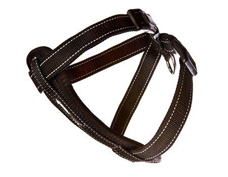 Ezydog Sele Neoprensvart Xs 3-6kg 'Promenad/bilsele'