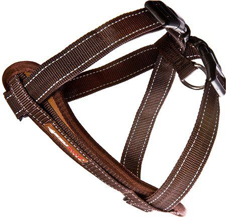 Ezydog Sele Neoprenchoklad Xxl Kg 'Promenad/bilsele'