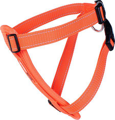 Ezydog Sele Neoprenorange Xxl Kg 'Promenad/bilsele'