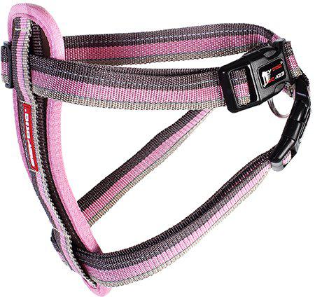 Ezydog Sele Neoprencandy M 10-19kg 'Promenad/bilsele'