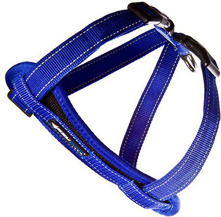 Ezydog Sele Neoprenblå Xxs 1-3kg 'Promenad/bilsele'