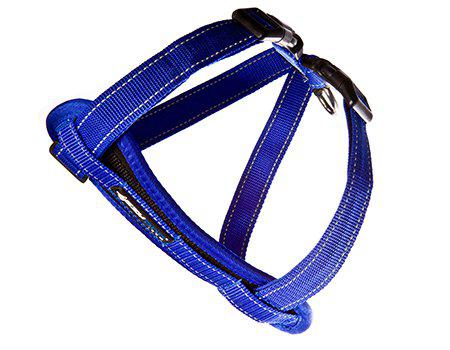 Ezydog Sele Neoprenblå M 10-19kg 'Promenad/bilsele'