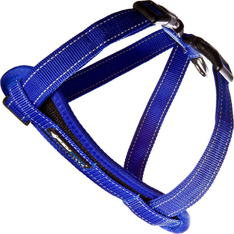 Ezydog Sele Neoprenblå Xl +35kg 'Promenad/bilsele'