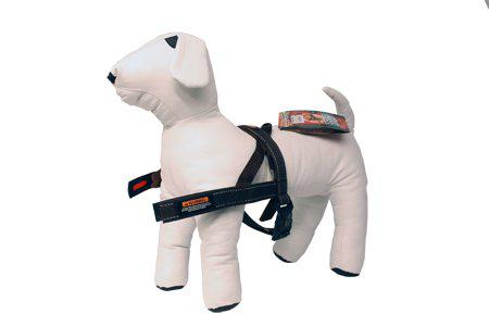 Ezydog Sele Quickfit Neopren Svart Xxs 2-3kg 'Justerbar'