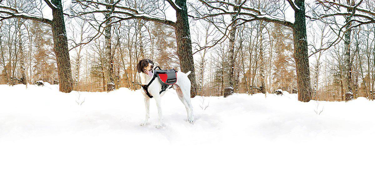 Ezydog Sele Summit Backpack M Med Reflex 70-110cm Midja