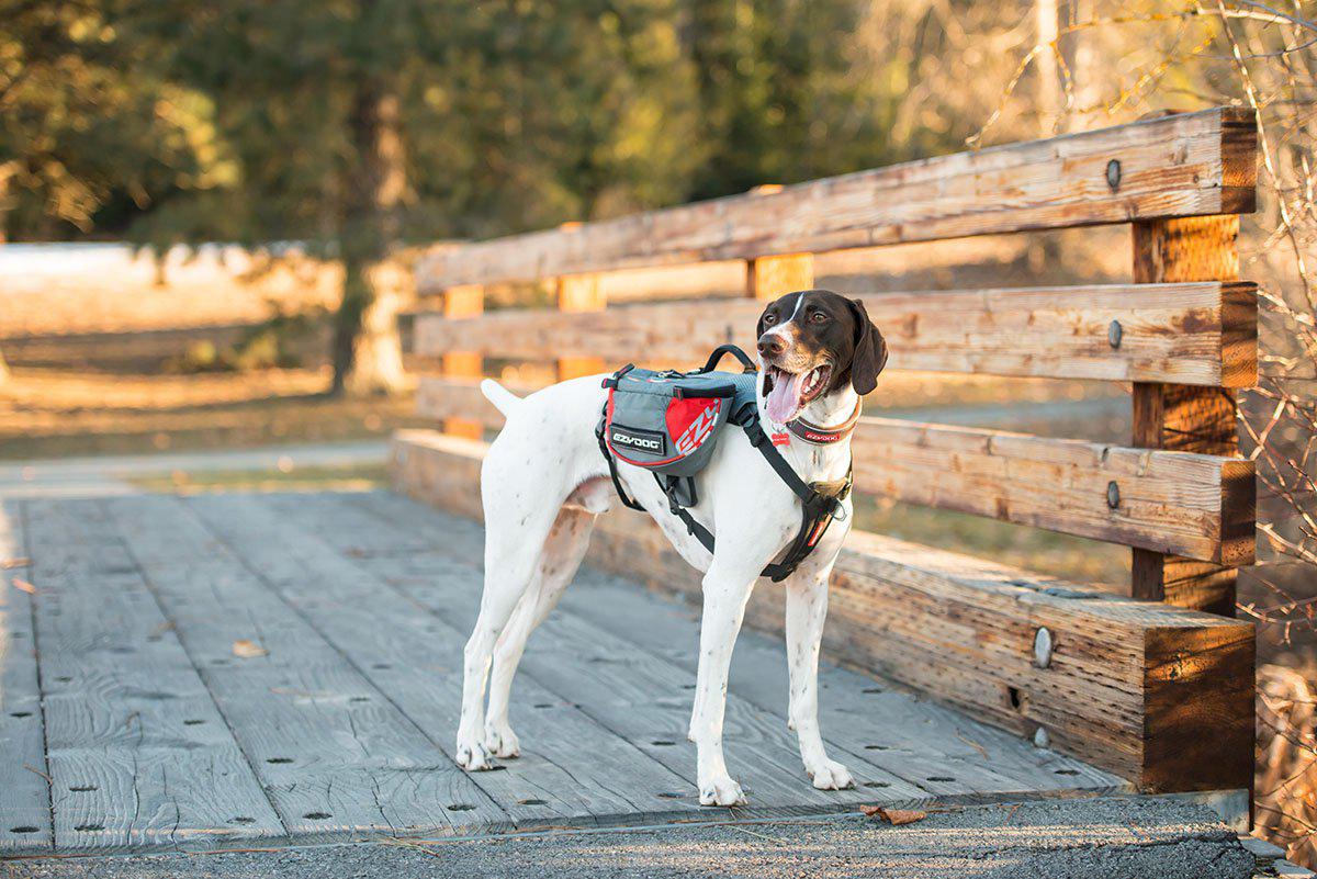 Ezydog Sele Summit Backpack L Med Reflex 80-125cm Midja