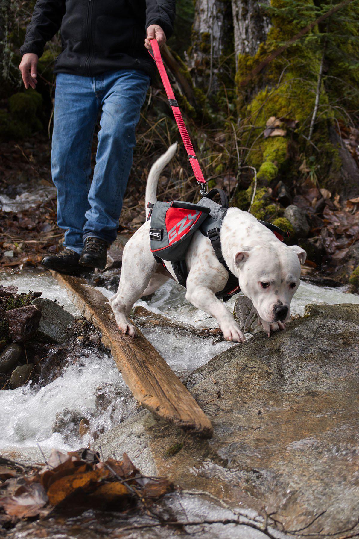 Ezydog Sele Summit Backpack L Med Reflex 80-125cm Midja