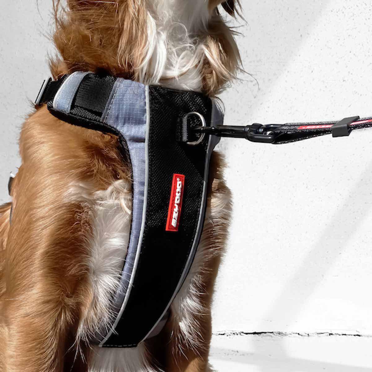 Ezydog Sele X-link Svart Xl +35kg 'Justerbar'