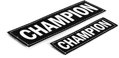 Ezydog Side Patch Schampion