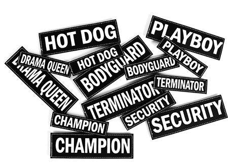 Ezydog Side Patch Lsecret Service