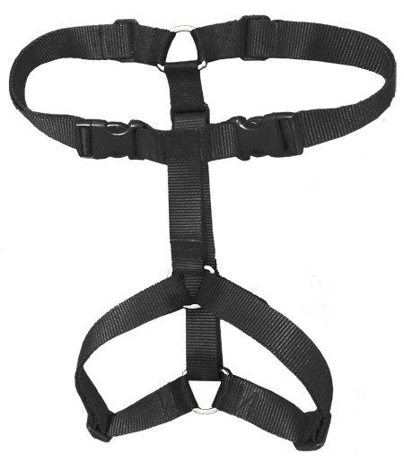 Vgw Beginner 4 Svart 66-100cm Bröstomfång