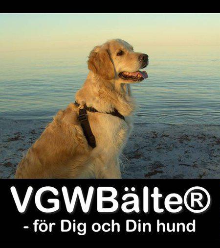 Vgw Bälte Extensionsvart L 65-73cm Bröstomfång