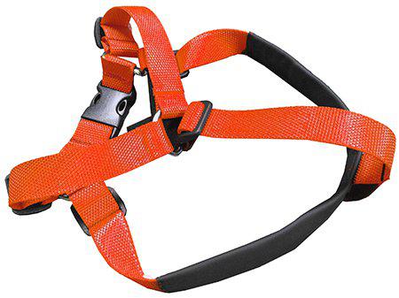 Vgw Bälte Extensionorange Xxxl 94-107cmbröstomfång