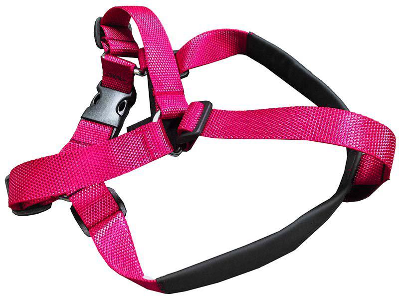 Vgw Bälte Extensionneonrosa Xxxl 94-107cm Bröstomfång