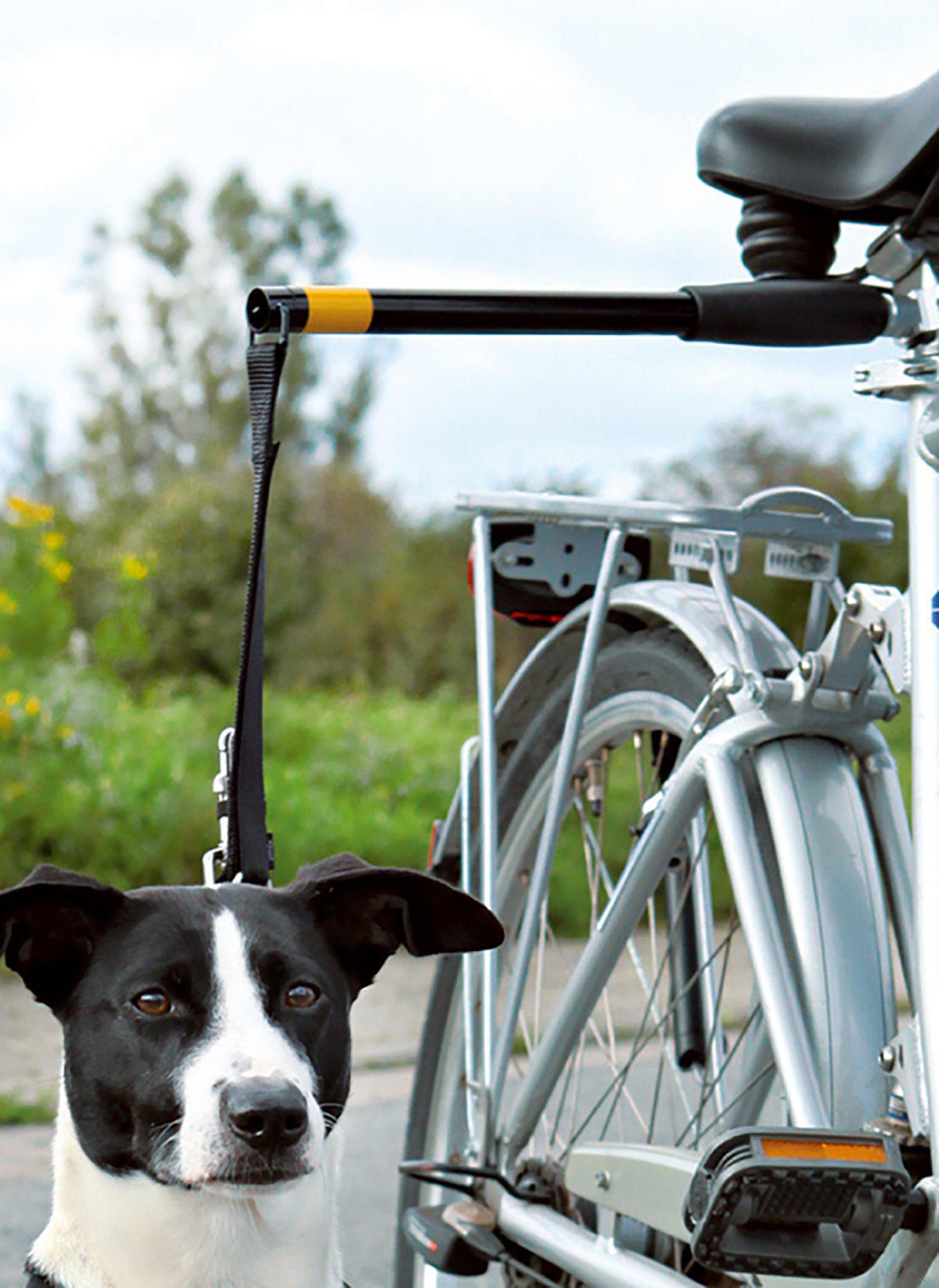 Hands Free Doggy Bike Exerciser Leash