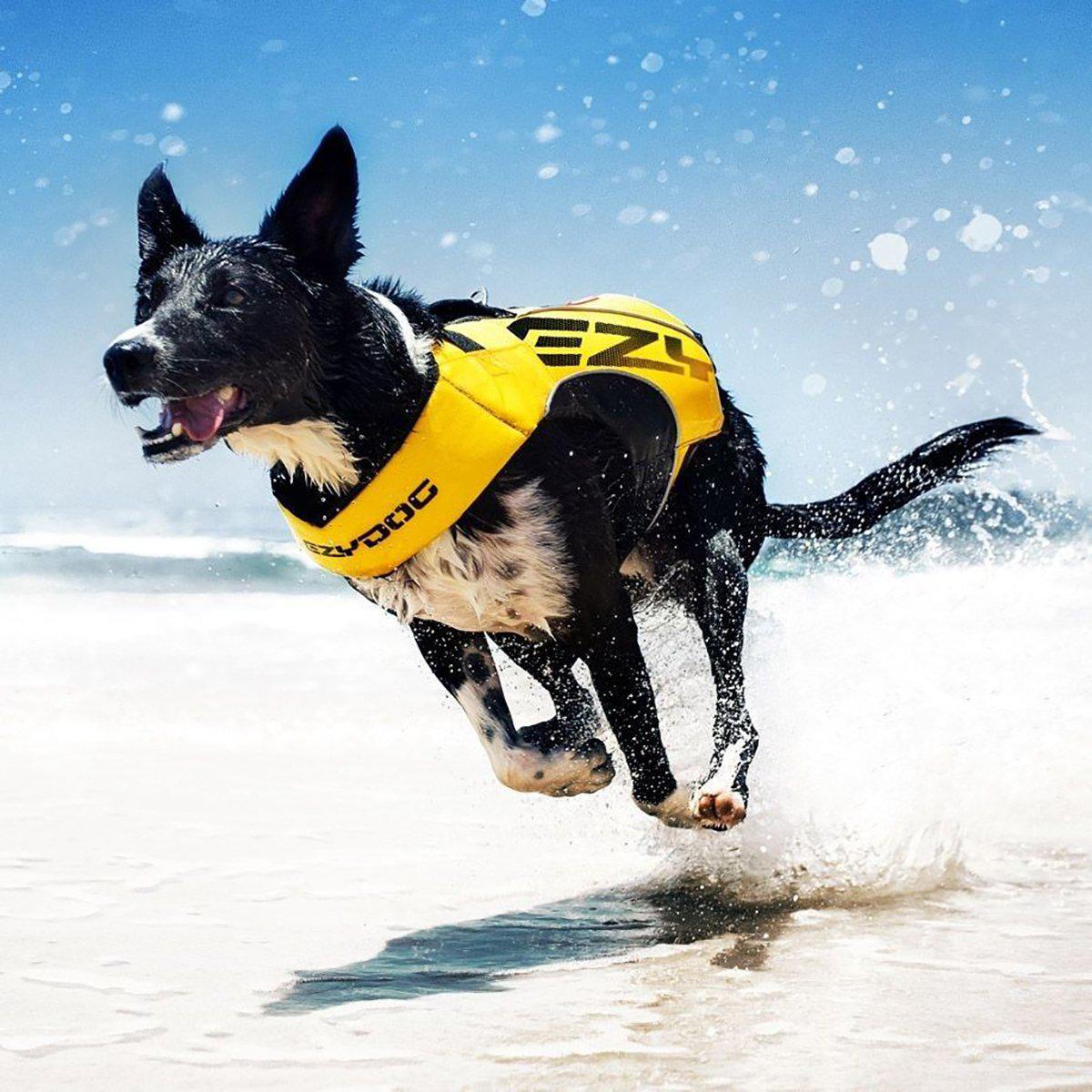 Ezydog Flytväst X2 Boost Gul L 76-85cm 27-41kg