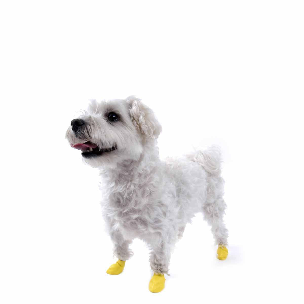 Pawz Dog Boots Color Xxs Yellow