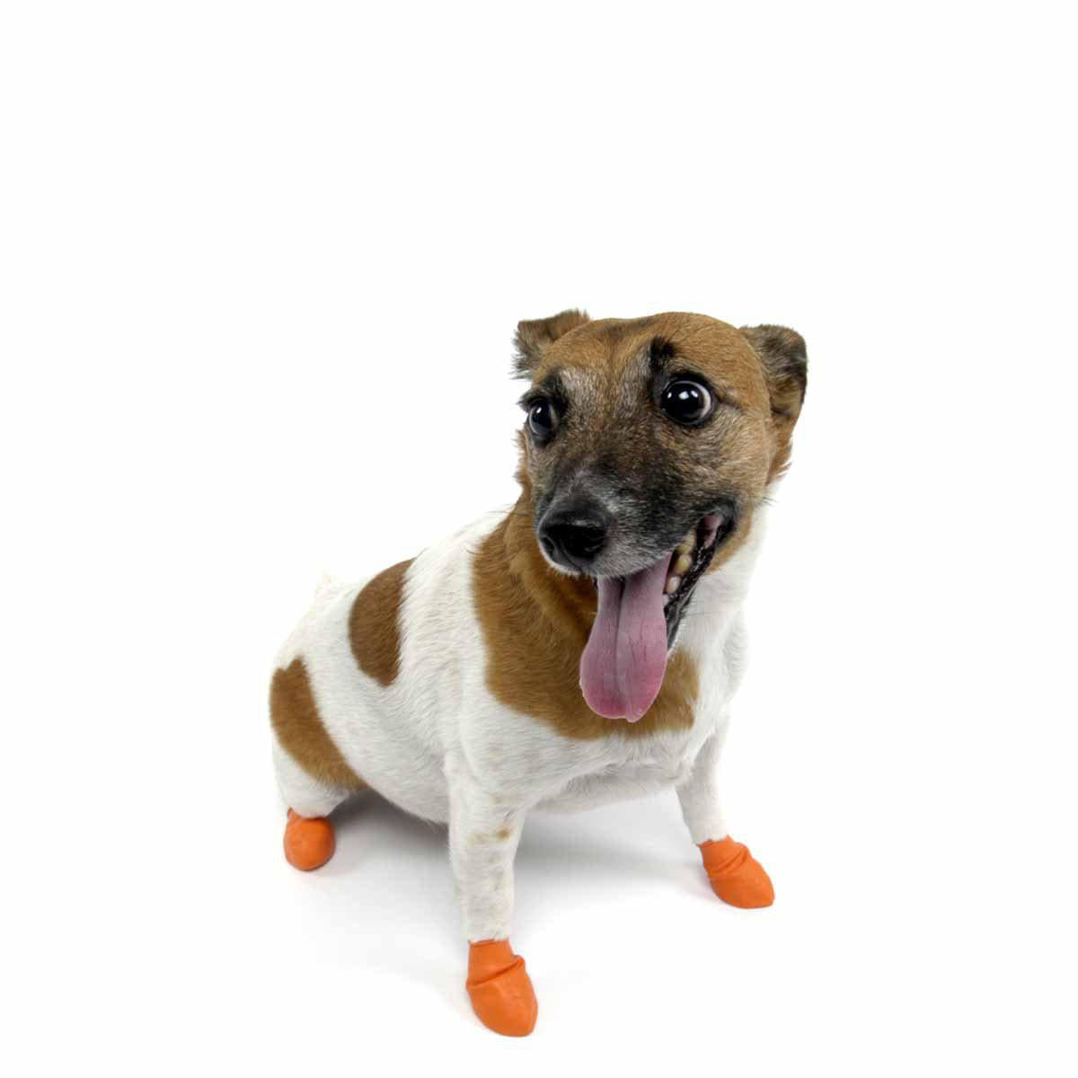 Pawz Dog Boots Color Xs Orange