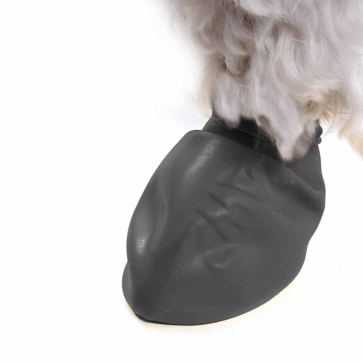 Pawz Dog Boots Black Xxs