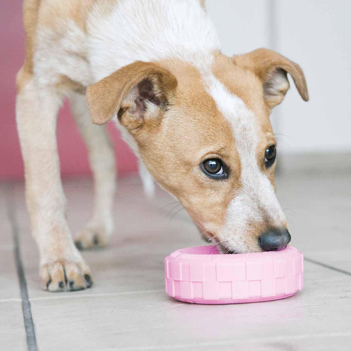 Kong Puppy Tyres M/l