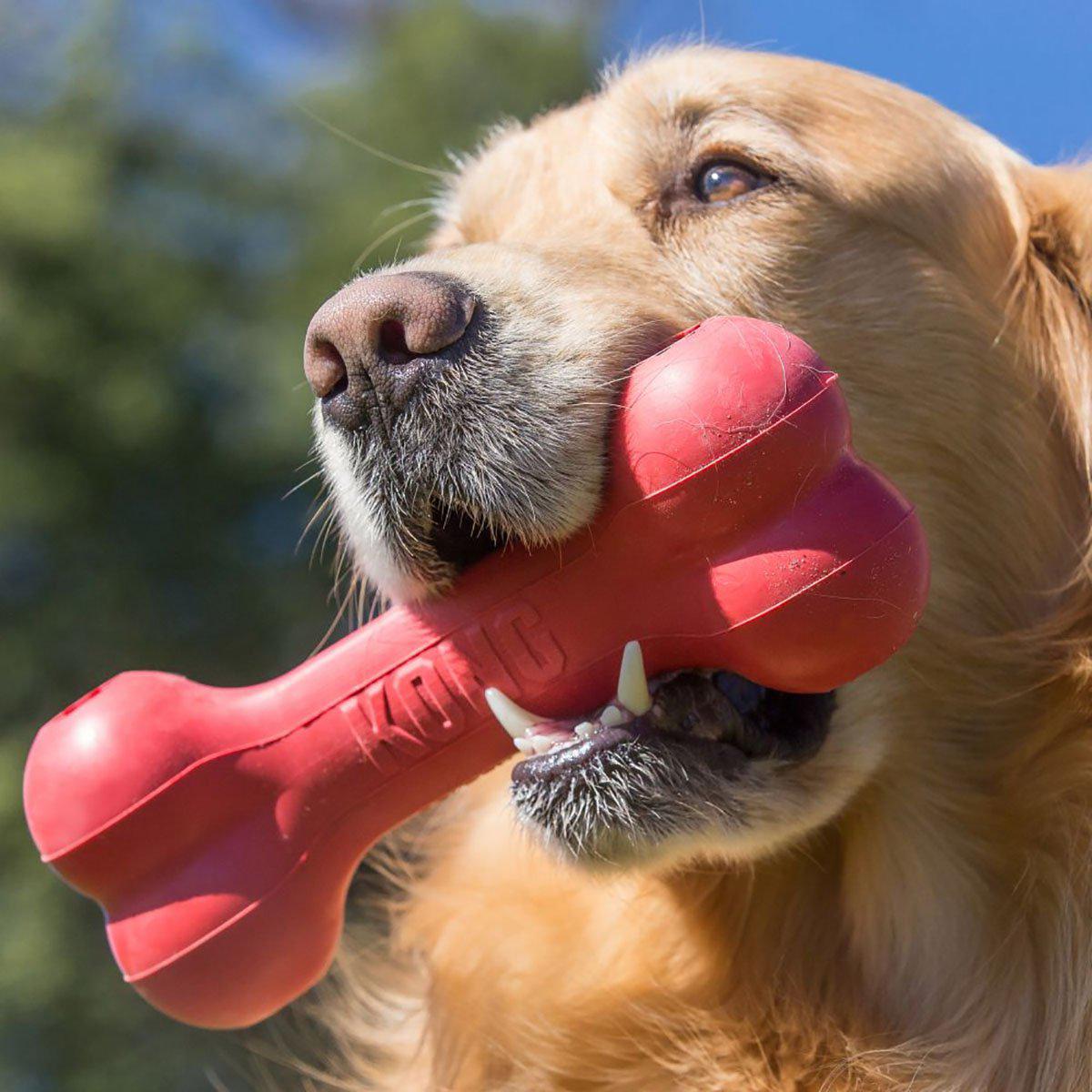 Kong Goodie Bone M 18x6,5x4 Cm