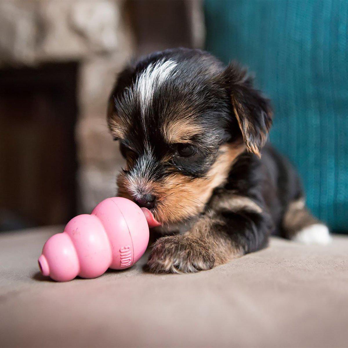 Kong Puppy S 8x5cm Mix