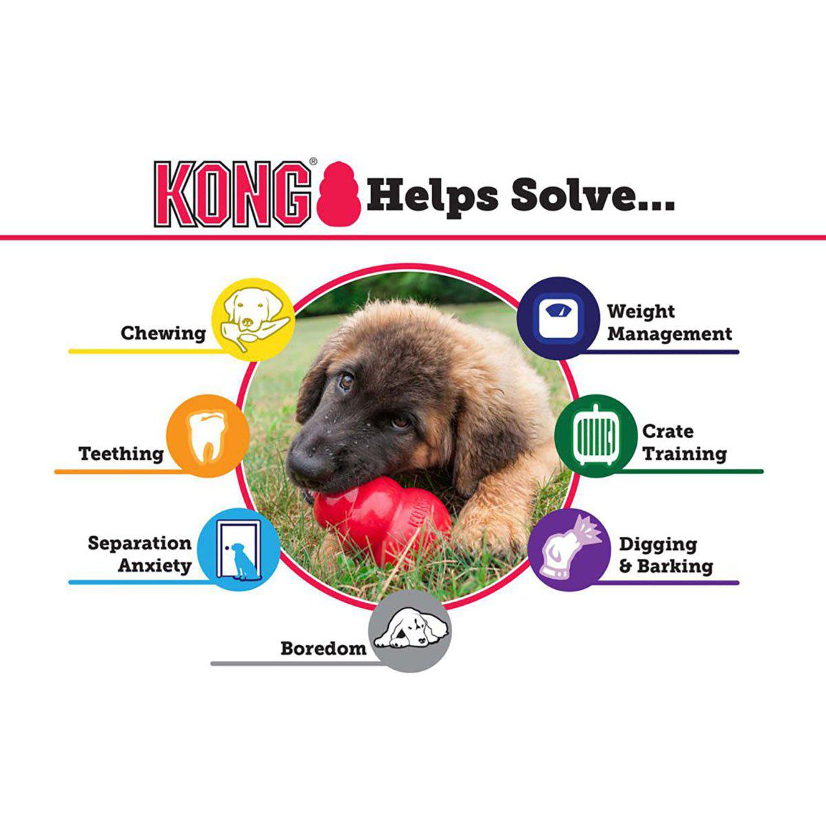 Kong Puppy M 9x6cm Mix