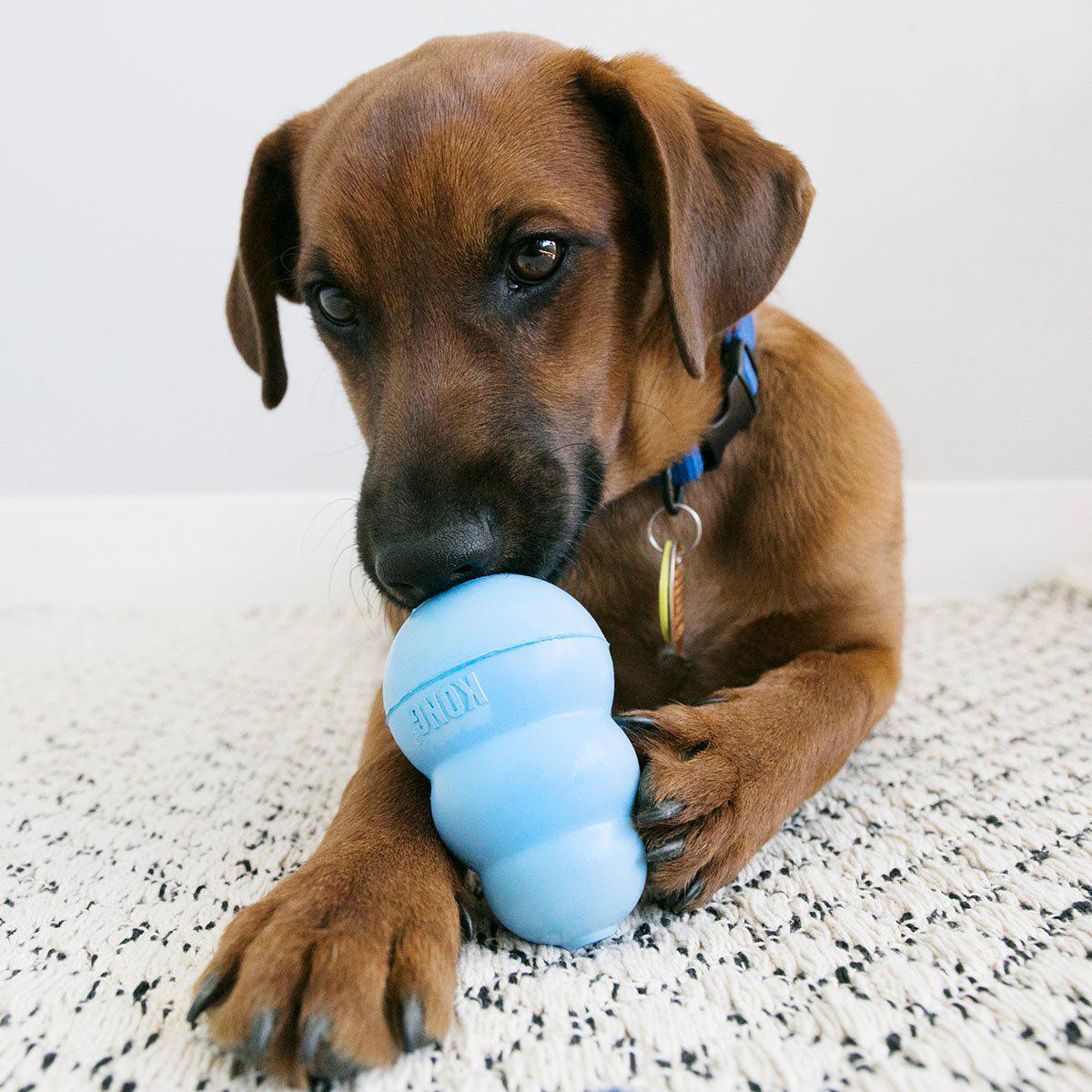 Kong Snacks Puppy S198gr
