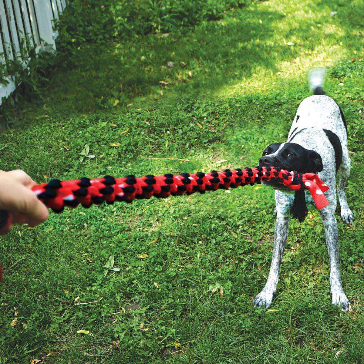 Kong Signature Ropedouble Tug 58,5x13x5cm