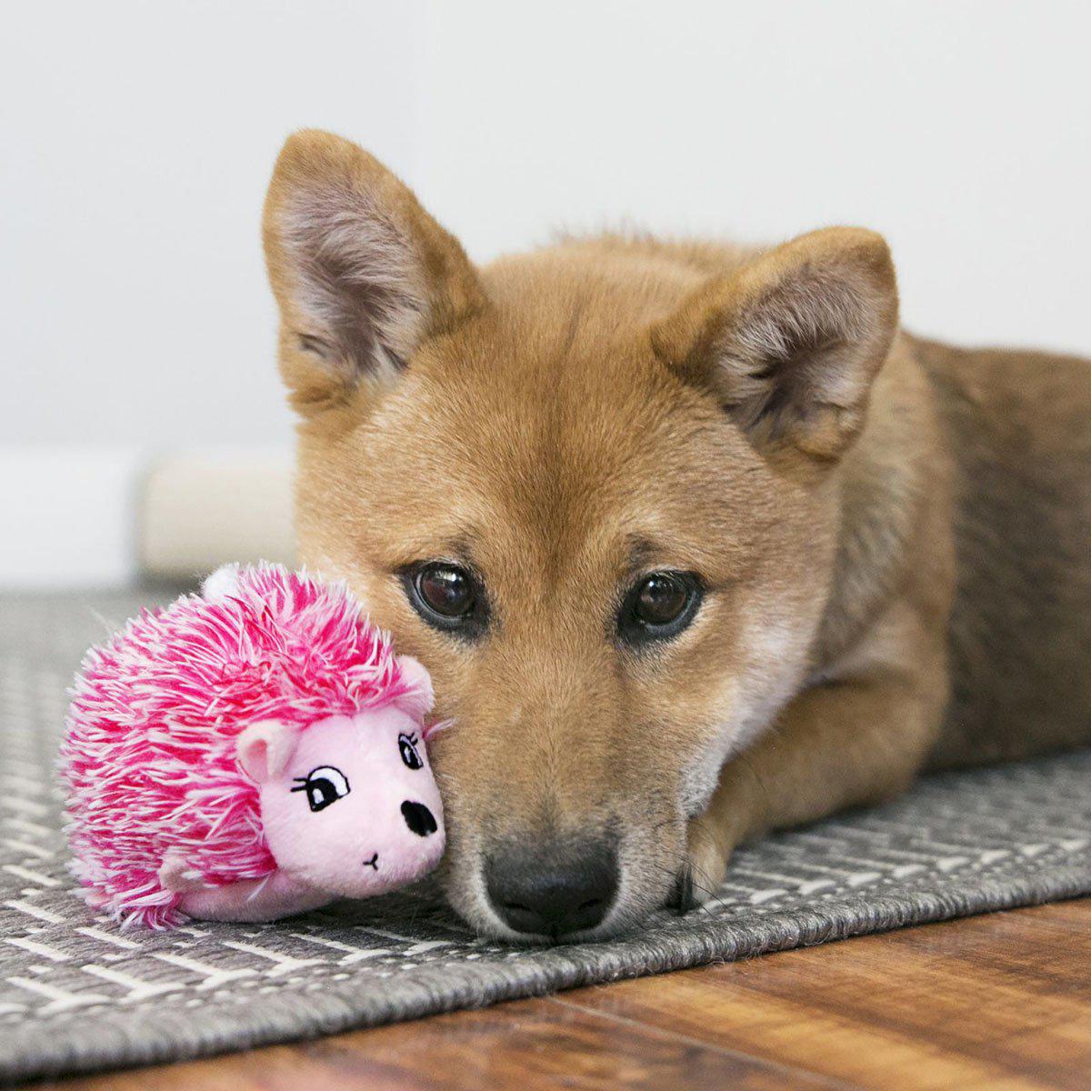 Kong Comfort Hedgehug Puppy Xs 6x6x10