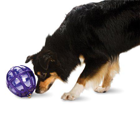 Busy Buddy Kibble Nibble Feeder Ball M/l