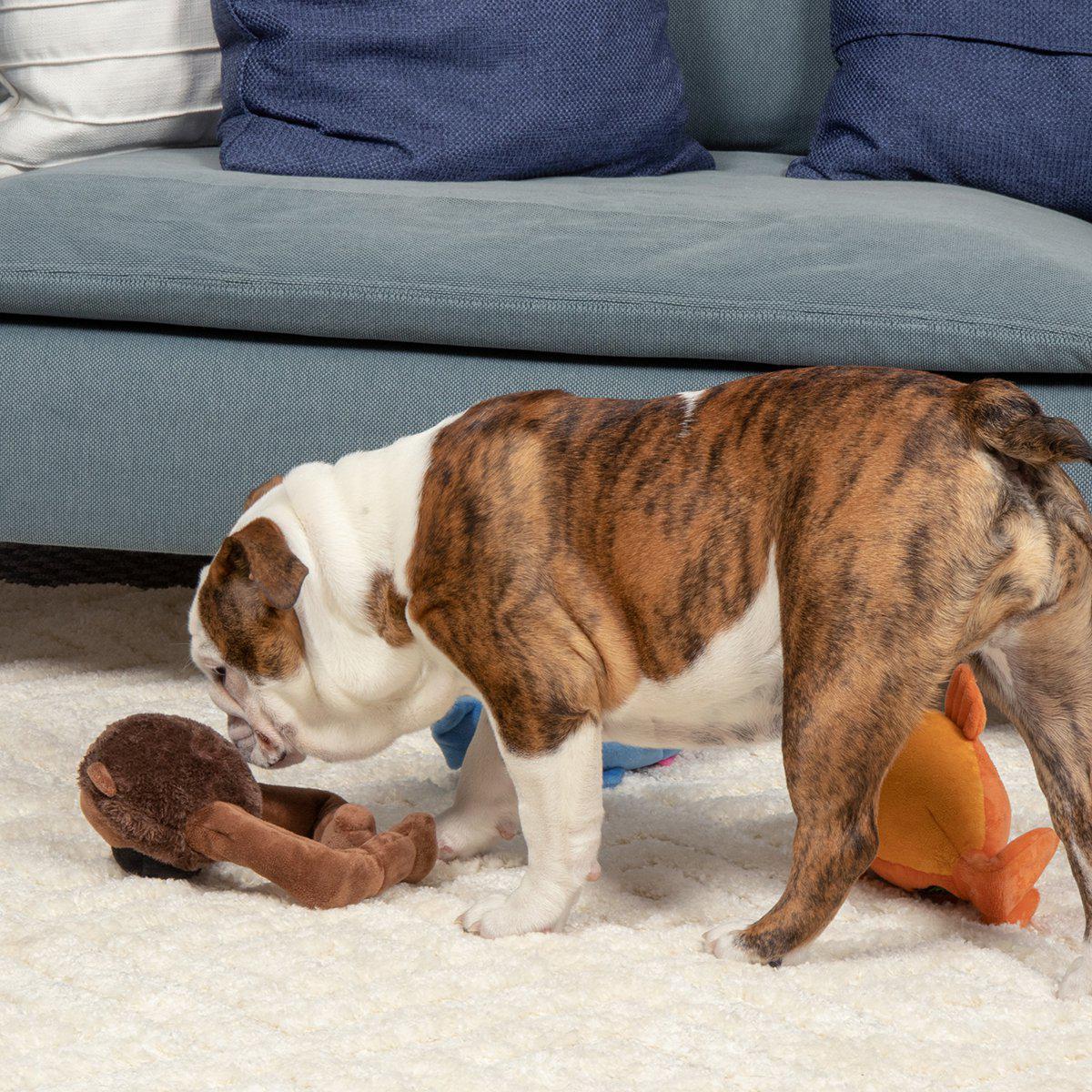 Godog Action Push Ape 20cm