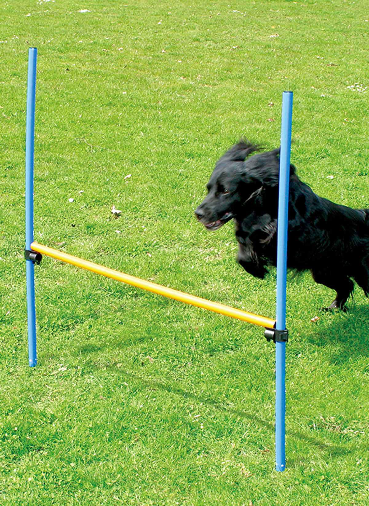 Agility Hinder Höjd116cm