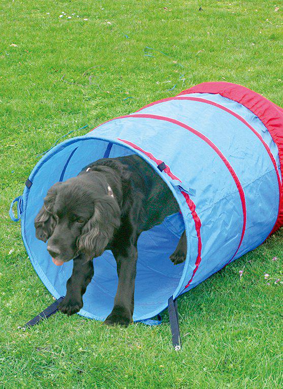 Agility Tunnel 5 M Ø60cm