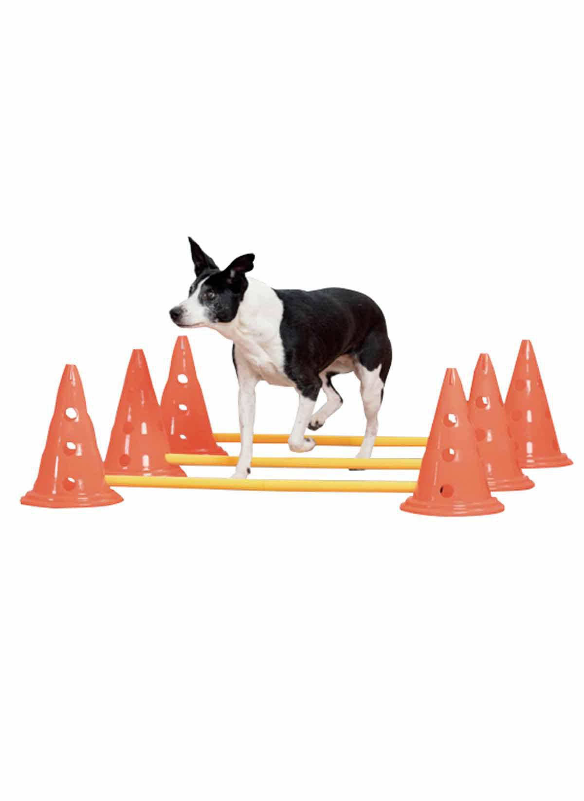 Agility Hinder Med Koner 30cm