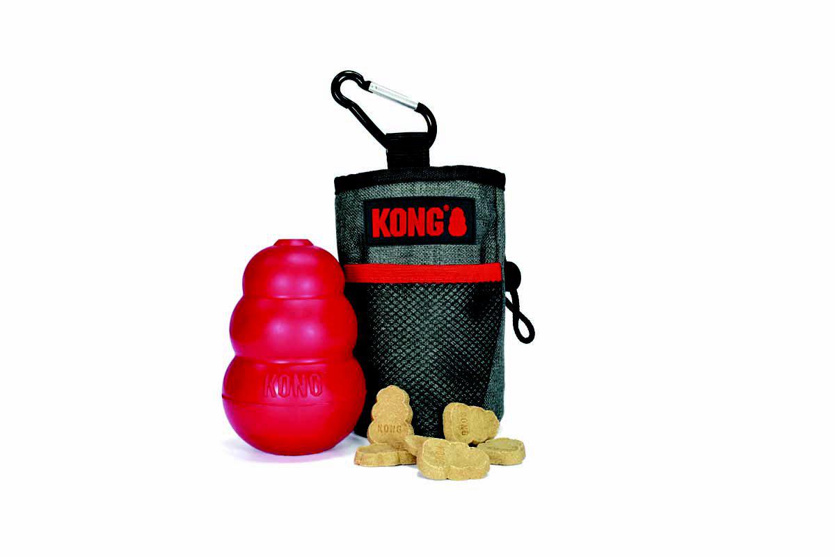 Kong Treat Bag 16x24x4cm