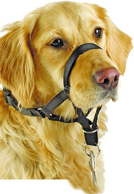 Nossele Pawise Str 2 <24cm