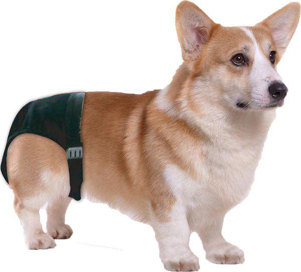 Tikskydd Strl L 40x49cm Svart