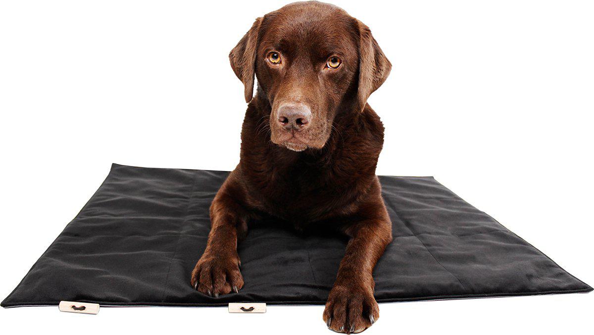 Bia Madrass Travel Svart/outdoor 80x100cm